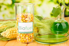 Blacktop biofuel availability